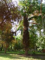 Botanischer Garten
