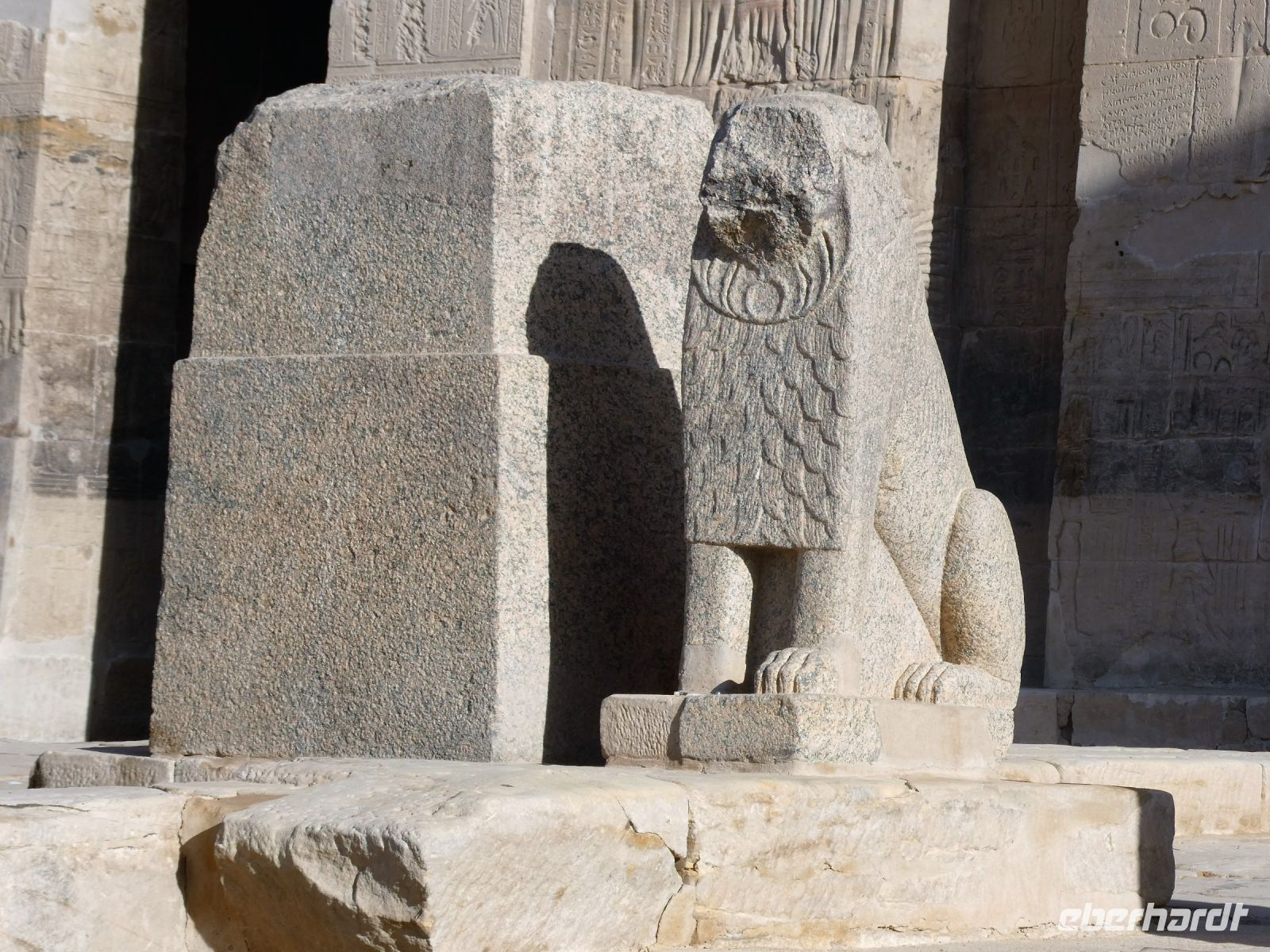 Löwe ohne Gesicht &ndash; &copy; Gina Egenolf (Eberhardt TRAVEL)