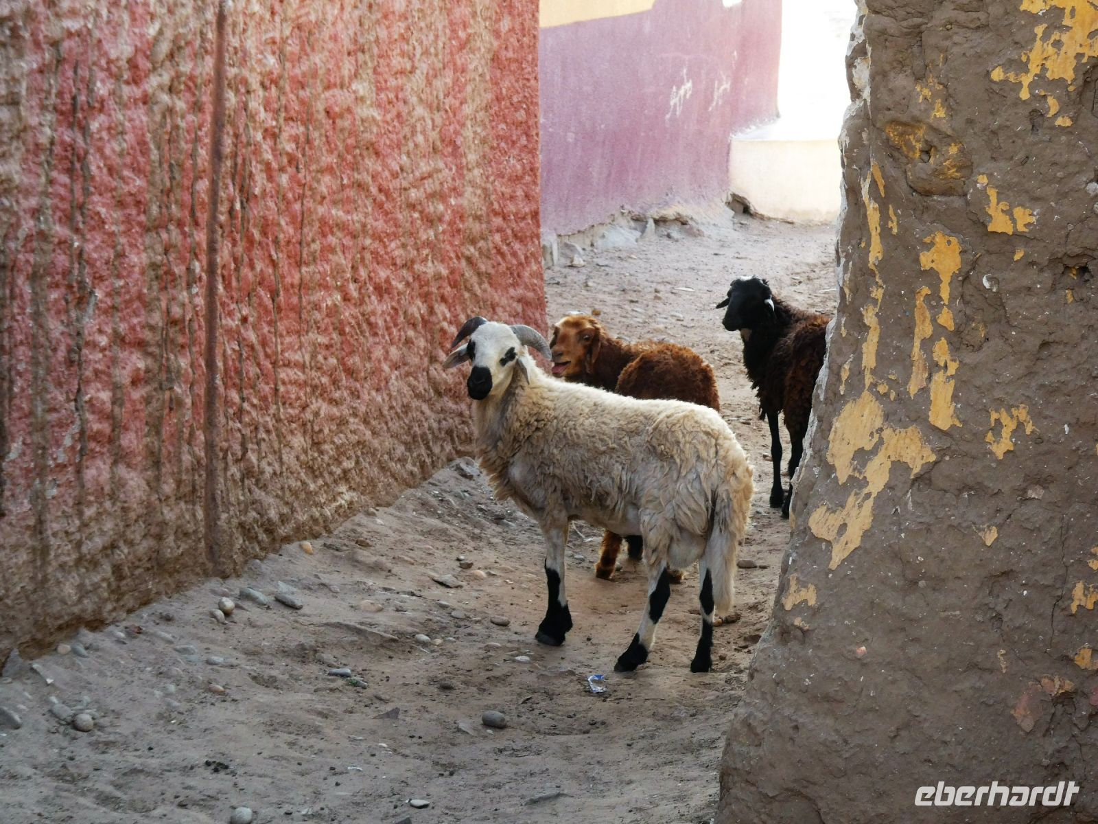 was wollt Ihr denn &ndash; &copy; Gina Egenolf (Eberhardt TRAVEL)