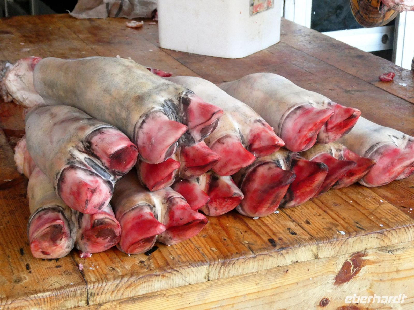 doch lieber Fleisch &ndash; &copy; Gina Egenolf (Eberhardt TRAVEL)
