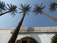 Palmen himmelwärts &ndash; &copy; Gina Egenolf (Eberhardt TRAVEL)