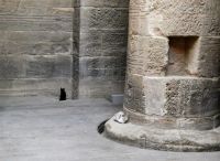 erst waren es 2 &ndash; &copy; Gina Egenolf (Eberhardt TRAVEL)