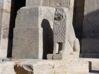 Löwe ohne Gesicht &ndash; &copy; Gina Egenolf (Eberhardt TRAVEL)