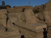 Karnak &ndash; &copy; Karin Schröter (Eberhardt TRAVEL)