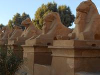 Karnak &ndash; &copy; Karin Schröter (Eberhardt TRAVEL)