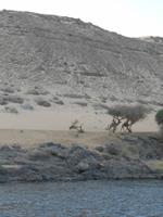 Nilufer &ndash; &copy; Karin Schröter (Eberhardt TRAVEL)