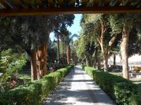 Botanischer Garten &ndash; &copy; Karin Schröter (Eberhardt TRAVEL)