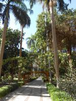 Botanischer Garten &ndash; &copy; Karin Schröter (Eberhardt TRAVEL)