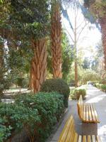 Botanischer Garten &ndash; &copy; Karin Schröter (Eberhardt TRAVEL)