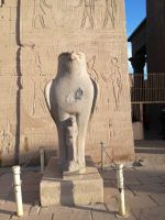 Horus-Tempel: Falkengott Horus &ndash; &copy; Anne-Katrin Müller (Eberhardt TRAVEL)