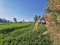 Landschaft am Nil &ndash; &copy; Simone Willner (Eberhardt TRAVEL)