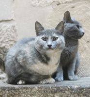 Security :-) &ndash; &copy; Simone Willner (Eberhardt TRAVEL)