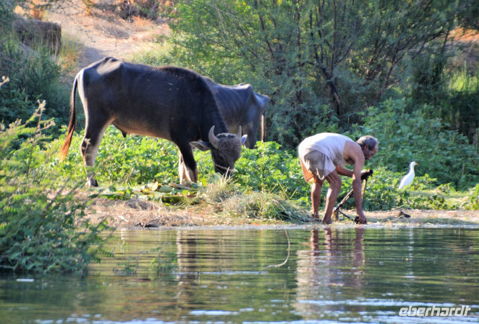 Szene am Wegesrand &ndash; &copy; Gina Egenolf (Eberhardt TRAVEL)