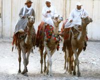 das Kamel Dein Freund und Helfer &ndash; &copy; Gina Egenolf (Eberhardt TRAVEL)