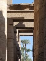 Blick zu den Palmen &ndash; &copy; Gina Egenolf (Eberhardt TRAVEL)
