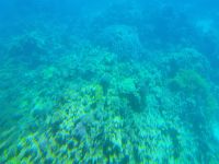 Unterwasserlandschaft &ndash; &copy; Gina Egenolf (Eberhardt TRAVEL)