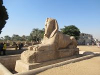 Memphis, der Sphinx &ndash; &copy; Marieta Beck (Eberhardt TRAVEL)