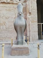 Horus - zu Ehren des Falken-Gottes &ndash; &copy; Marieta Beck (Eberhardt TRAVEL)
