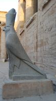 Horus - der Falkengott &ndash; &copy; Marieta Beck (Eberhardt TRAVEL)