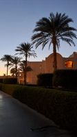 an der Makadi Bay &ndash; &copy; Anne-Katrin Müller (Eberhardt TRAVEL)