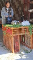 Hurghada - alter Markt &ndash; &copy; Anne-Katrin Müller (Eberhardt TRAVEL)