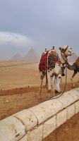 Gizeh &ndash; &copy; Anne-Katrin Müller (Eberhardt TRAVEL)