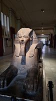 Kairo: Ägyptisches Museum &ndash; &copy; Sinah Witzig (Eberhardt TRAVEL)