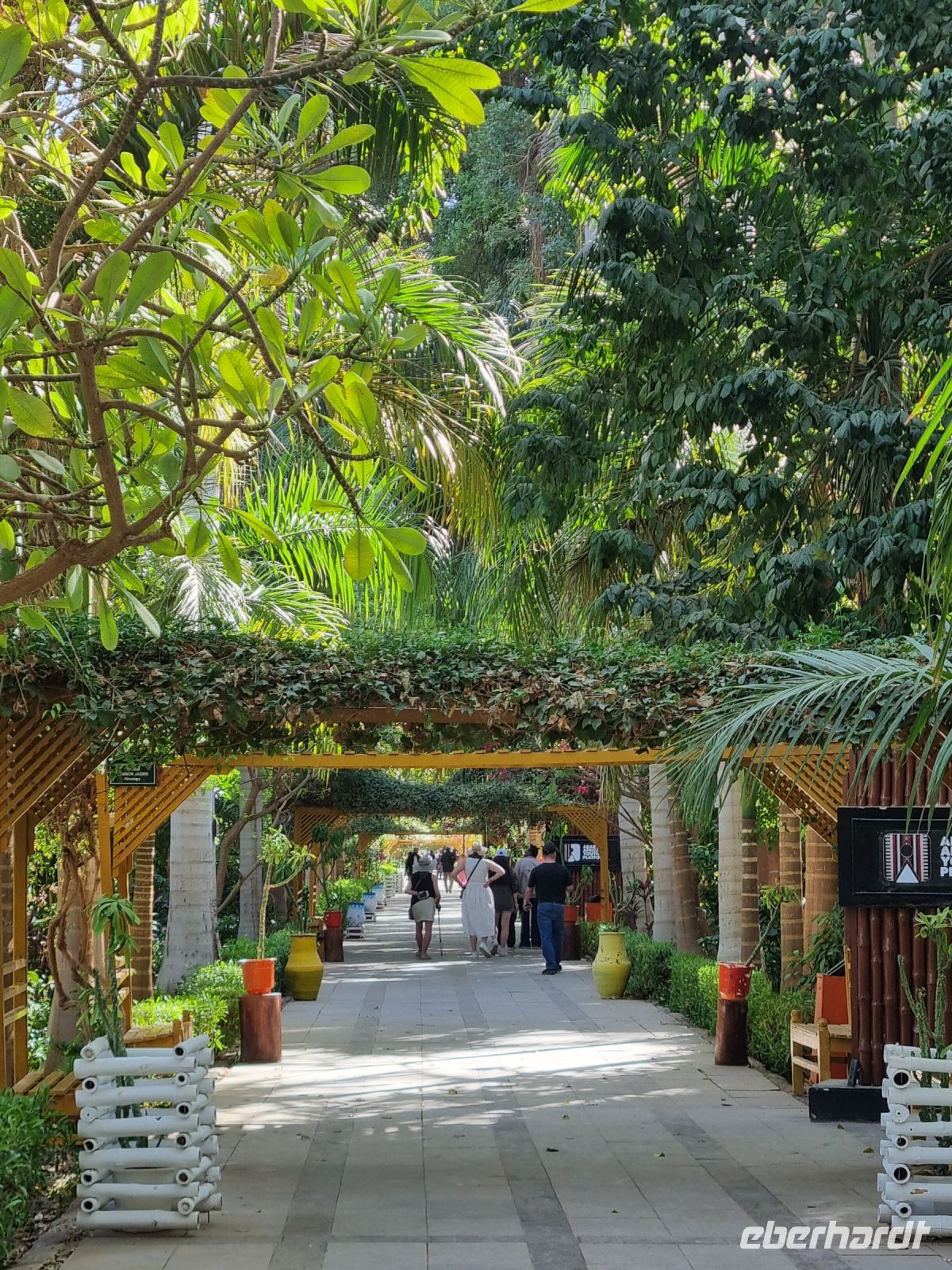 Botanischer Garten von Assuan &ndash; &copy; Katrin Deutschbein (Eberhardt TRAVEL)
