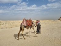 Sakkara  &ndash; &copy; Katrin Deutschbein (Eberhardt TRAVEL)