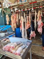 Hurghada (Alter Markt) &ndash; &copy; Katrin Deutschbein (Eberhardt TRAVEL)