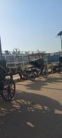 Kutschen, Edfu &ndash; &copy; Anette Rietz (Eberhardt TRAVEL)