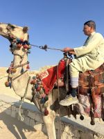 Ankunft in Saqqara &ndash; &copy; Carola Gastmeier (Eberhardt TRAVEL)