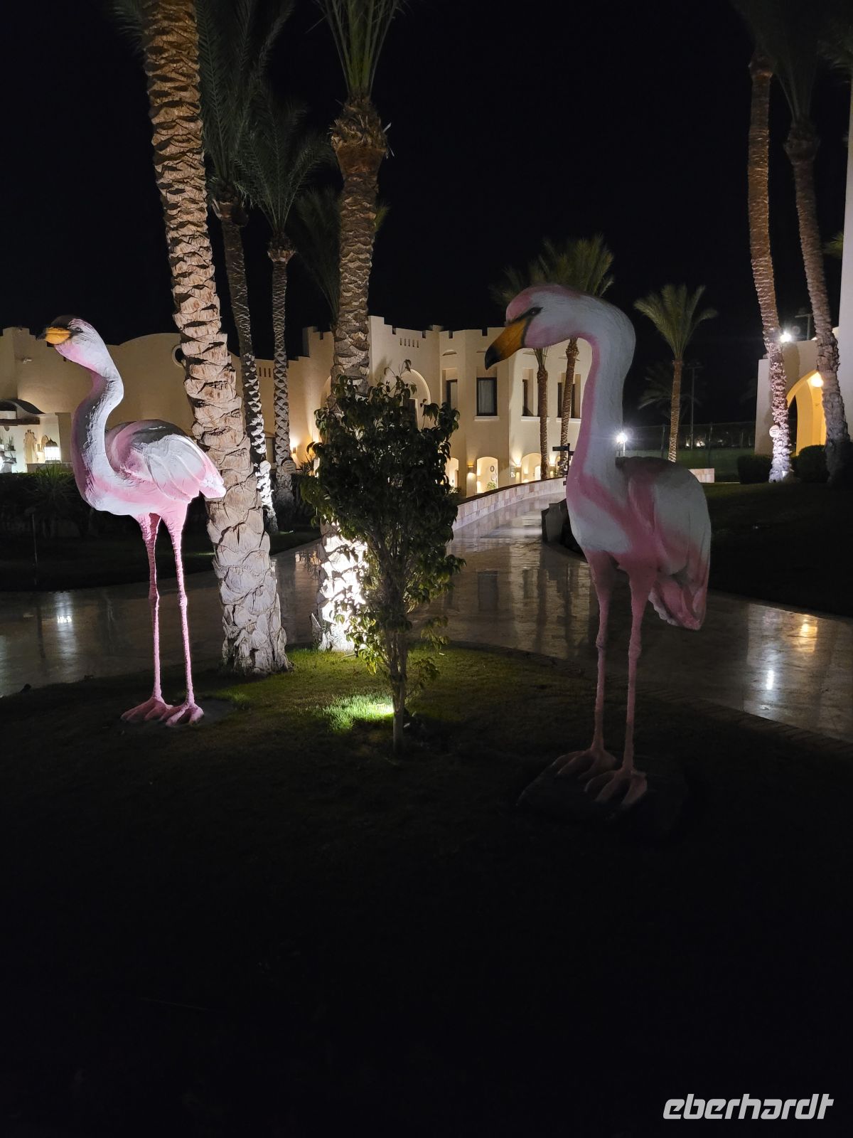 136 - Makadi Bay - unser Hotel am Roten Meer.jpg &ndash; &copy; Jens Petzoldt (Eberhardt TRAVEL)