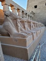 042 - Luxor - Karnak-Tempel &ndash; &copy; Jens Petzoldt (Eberhardt TRAVEL)