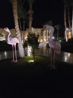 136 - Makadi Bay - unser Hotel am Roten Meer.jpg &ndash; &copy; Jens Petzoldt (Eberhardt TRAVEL)