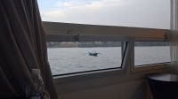Blick aus dem Fenster der Kabine MS Nile Style &ndash; &copy; Anette Rietz (Eberhardt TRAVEL)