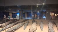 Krokodilmuseum Kom Ombo &ndash; &copy; Anette Rietz (Eberhardt TRAVEL)