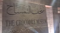 Krokodil Museum Kom Ombo