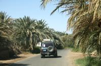 Jeeptour_Oase_Baharya &ndash; &copy; Kristin Weigel (Eberhardt TRAVEL)