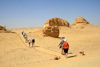 Waltal_Wadi_Hitan &ndash; &copy; Kristin Weigel (Eberhardt TRAVEL)