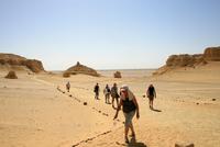 Waltal_Wadi_Hitan &ndash; &copy; Kristin Weigel (Eberhardt TRAVEL)