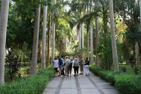 Assuan_Kitchener_Insel &ndash; &copy; Kristin Weigel (Eberhardt TRAVEL)