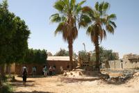 Oase_Kharga &ndash; &copy; Kristin Weigel (Eberhardt TRAVEL)