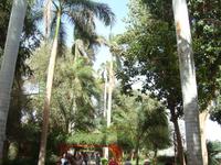 Botanischer Garten