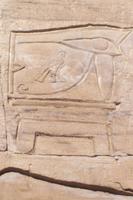 Auge des Horus
