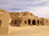 Wadi al-Hitan &ndash; &copy; Vicky Kern (Eberhardt TRAVEL)