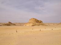 Wadi al-Hitan &ndash; &copy; Vicky Kern (Eberhardt TRAVEL)