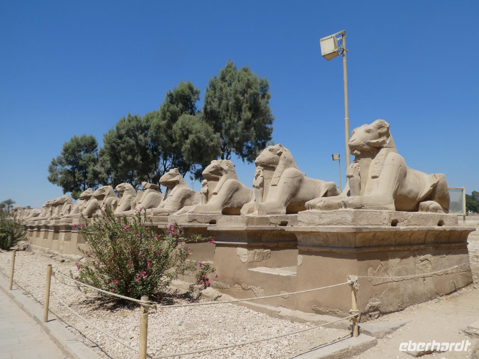 Karnak Tempel &ndash; &copy; Kerstin Hugel (Eberhardt TRAVEL)