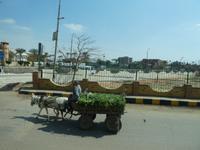Kairo &ndash; &copy; Kerstin Hugel (Eberhardt TRAVEL)