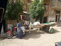 Assuan &ndash; &copy; Kerstin Hugel (Eberhardt TRAVEL)